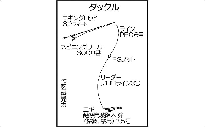 波止エギングで1kg級アオリイカキャッチ【鹿児島・小浦港】