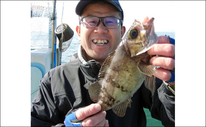 ウタセマダイ釣りで本命の他良型メバル手中　速い潮流に苦戦【愛知】