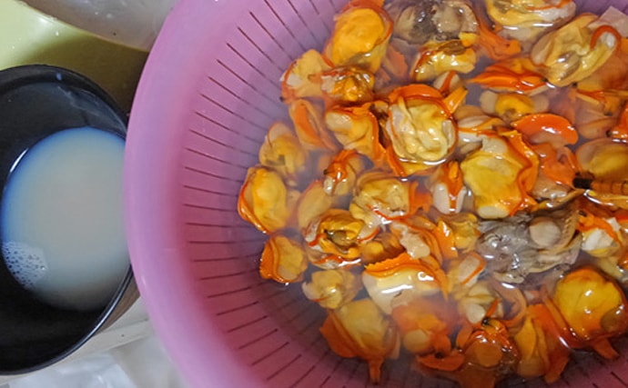 韓国では庶民の味？　マニアックな二枚貝「オキシジミ」は実は身近に生息