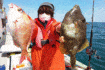 【愛知】船釣り釣果情報　ウタセ五目でマダイにカワハギなど多彩