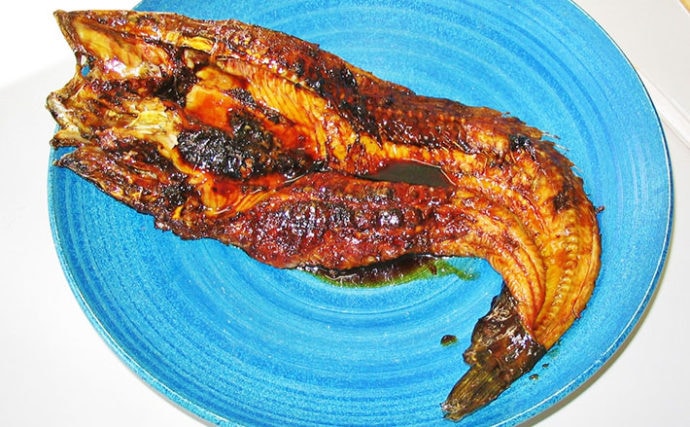 【釣果レシピ】ナマズのかば焼き：室町時代はかまぼこの原料だった？