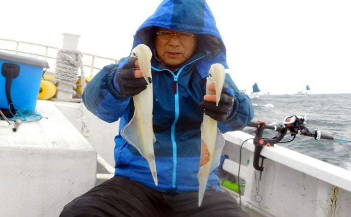 シーズン本格化のヤリイカ釣り　船中40cm頭に36尾【南房・大栄丸】