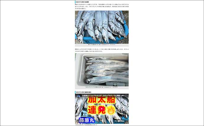 釣りライター募集中！ 未経験・副業OK【TSURINEWSで記事を書いて報酬を得よう】