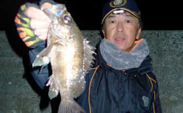 電気ウキで狙う夜のメバル釣り　エサのローテでアタリ継続【大田尾漁港】