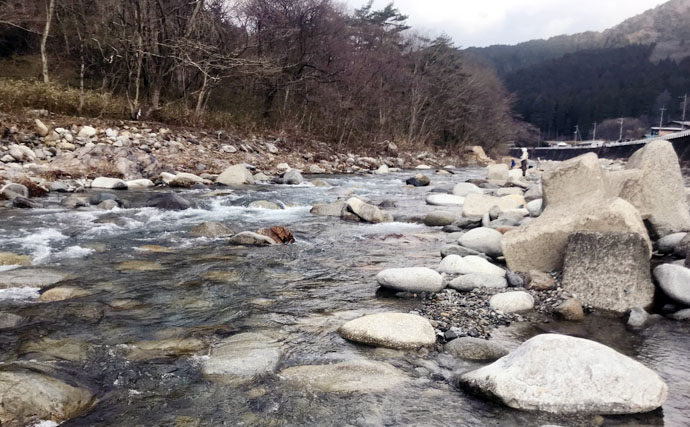 【2020】アユのトモ釣りオススメ河川：大芦川　利き鮎グランプリ準優勝