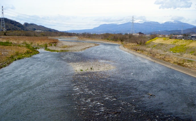 【2020】アユのトモ釣りオススメ河川：渡良瀬川　昨年の4倍の遡上あり