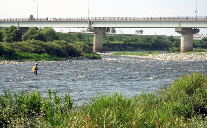 【2020】アユのトモ釣りオススメ河川：庄川　入川場所の選定は入念に