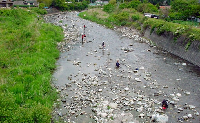 【2020】アユのトモ釣りオススメ河川：興津川　小場所が多数存在
