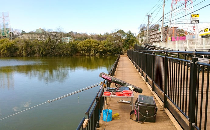ヘラブナ釣り回想記：神奈川県　意外にもロケーション良好の釣り場多し