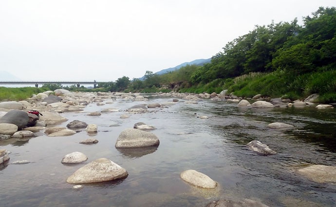 【2020】アユのトモ釣りオススメ河川：富士川水系　大アユ狙いが可能