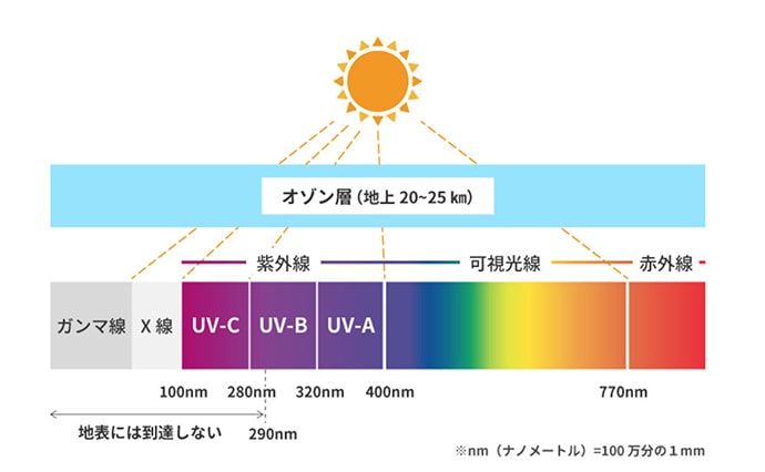 自粛生活だからこそ日光浴を推奨　『紫外線』はビタミンD生成必須要素