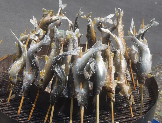 アユのトモ釣り好釣り場：一庫大路次川　都市近郊で手軽に楽しめる