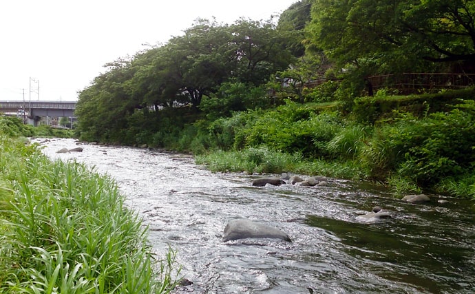 【2020】アユのトモ釣りオススメ河川：箱根早川・新崎川・千歳川