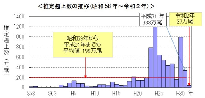 2020年の多摩川アユ遡上数が過去10年で最低の可能性　大型台風の影響か