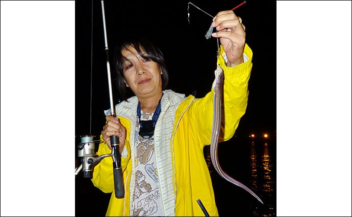 【東海2020】陸っぱリ『夜アナゴ』釣り初心者入門　初めての釣りに最適