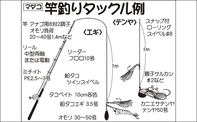 【東京湾2020】船マダコ釣り初心者入門　昨年同様の好シーズンの予感