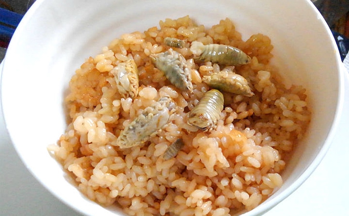 可愛くて美味しい寄生虫『ウオノエ』　醤油味の炊き込みご飯は絶品？