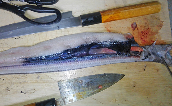 魚介類の「食べるな危険」部位：ウナギの血液に毒あり　生食の障壁に