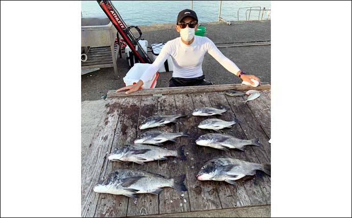 【三重】カカリ釣り最新釣果　71cm良型スズキに54cm年無しクロダイなど
