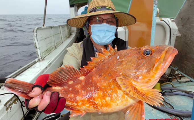 【玄界灘】沖のエサ釣り最新釣果　35kg超大型『アラ』堂々浮上
