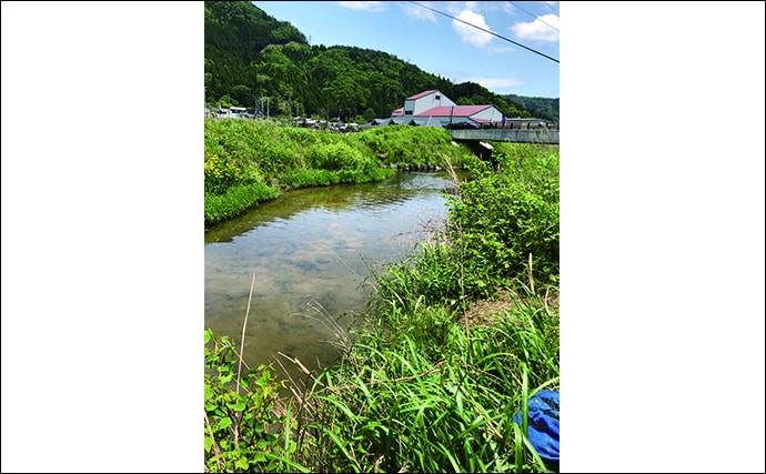 琵琶湖の夏の風物詩『小鮎釣り』で入れ食い堪能　食い渋り対応策も解説