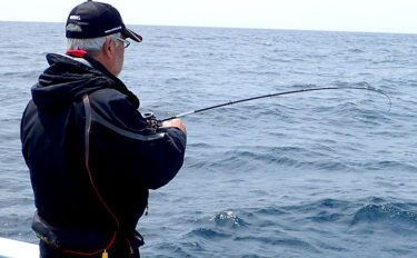 沖釣りで使う『船竿』選びの基礎知識　釣り方による「調子」の違いとは？