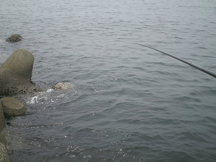 『前打ち』釣りで38cm頭にチヌ2尾　周りでは青物高活性【神戸・和田防】