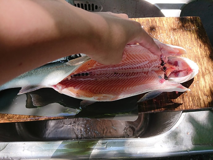 【釣果レシピ】コーホーサーモンの塩鮭：材料は塩だけでも立派な保存食に