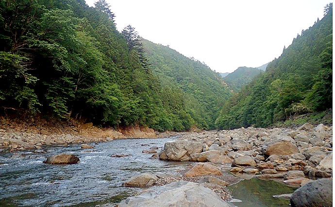 渓流ルアー釣行で26cm頭アマゴ15尾　高活性を満喫【奈良・十津川水系】