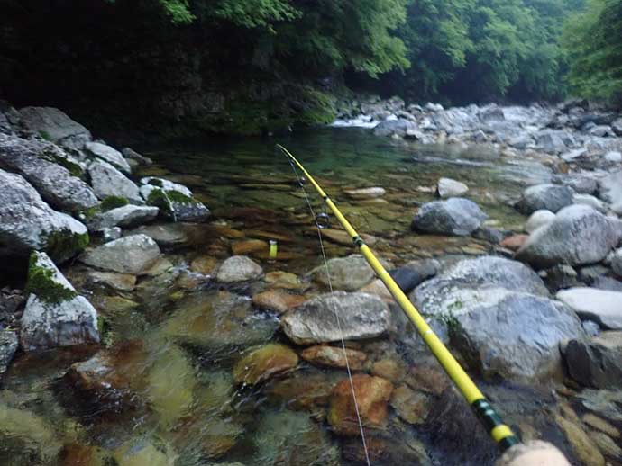 渓流ルアー釣行で25cm頭にアマゴ16匹　アユカラーがアタリ【芦廼瀬川】