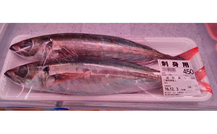 アジ類の次世代ブレイク魚は「赤サバ」？　正式名は『オアカムロ』