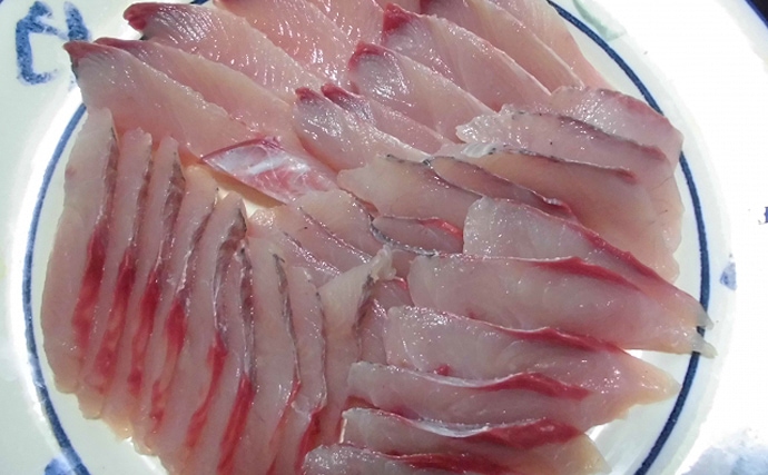 夏の回遊魚『シイラ』の生食は危険？　表皮に毒があるという説も