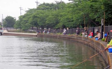 今週のヘラブナ推薦釣り場【埼玉県・逆川】　アクセス抜群で魚影も濃い