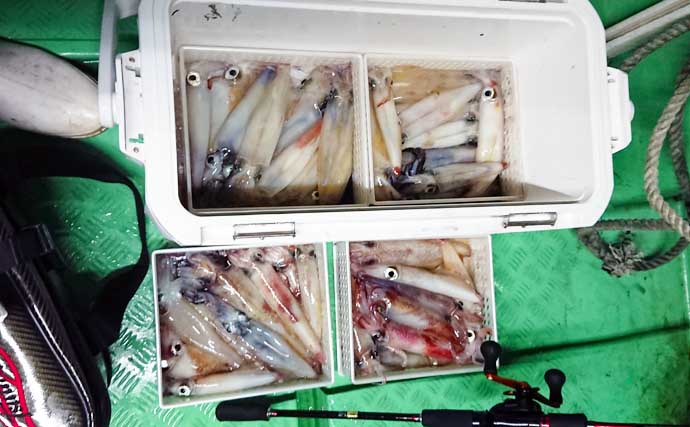 【福岡】夜焚きイカ釣り最新釣果　パラソル級混じり1人150尾の数釣りも