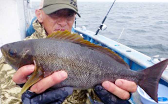 【愛知】沖釣り最新釣果　イシダイ船中24匹にスルメイカ282匹など