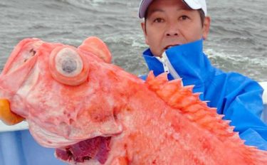 【鹿島沖2020】深海の高級魚『メヌケ』釣り入門　底ダチが釣果のカギ