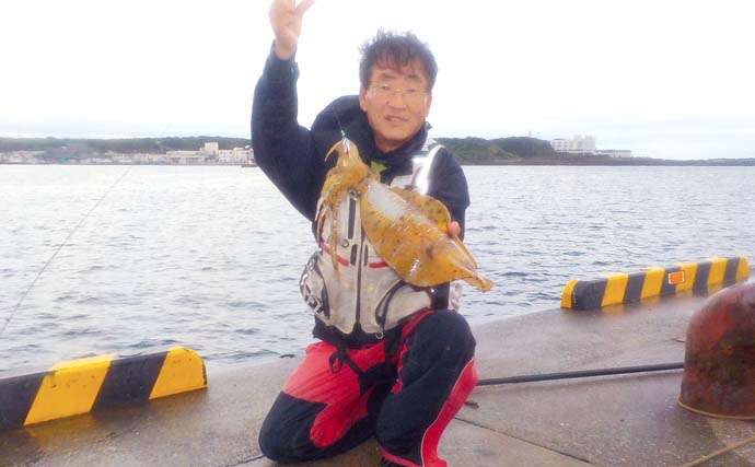 小サバの『泳がせ釣り』で1kg超含みアオリイカ2尾【神奈川・三崎港】