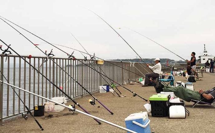 2020】海釣り公園にオススメのロッド6選 「竿2本ルール」とは