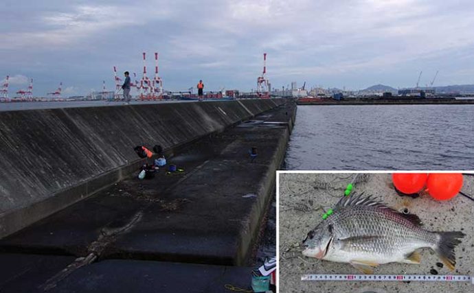 大阪湾の沖堤防を徹底解剖：神戸第6防波堤　落とし込み釣行も紹介