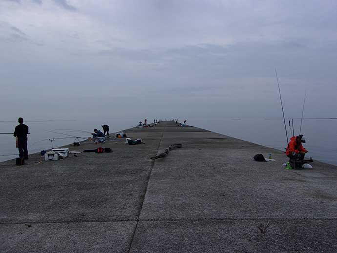 大阪湾の沖堤防を徹底解剖：神戸第8防波堤　サビキ釣りで中アジ好釣