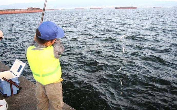 夏のサビキ釣りは子連れ釣行に最適　仕掛けにひと工夫でトラブル防止