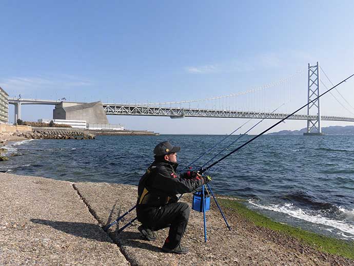 【明石2020】投げマダイ釣り徹底攻略法　タックル・釣り方・ポイント