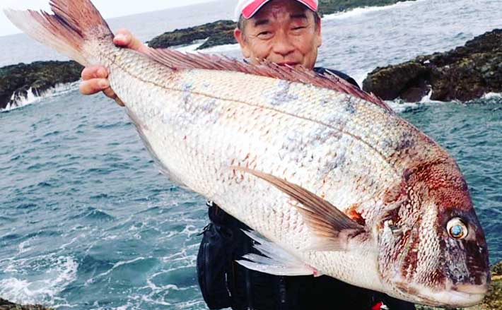 激安提供！送料無料！沖釣工房 日本海マダイ 80-330 がお買い得 夢の80cm超え！？ 釣り人のロマンの超大型マダイを手軽に狙おう！