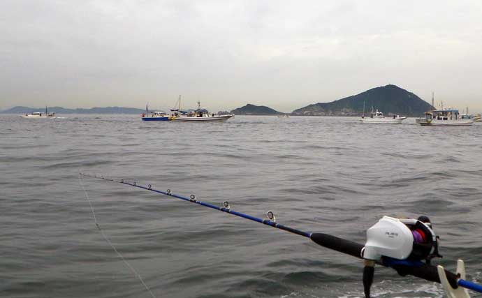 伊良湖沖の泳がせ釣りで83cm頭に良型ヒラメ顔見せ【愛知・昭徳丸】