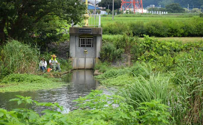 オススメ淡水小物釣り場紹介：大津川の緑豊かな『ホソ』を堪能【茨城】