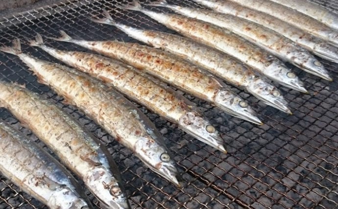 2020年の秋の『サンマ漁』が解禁　昨年以上の不漁予測で今後に不安
