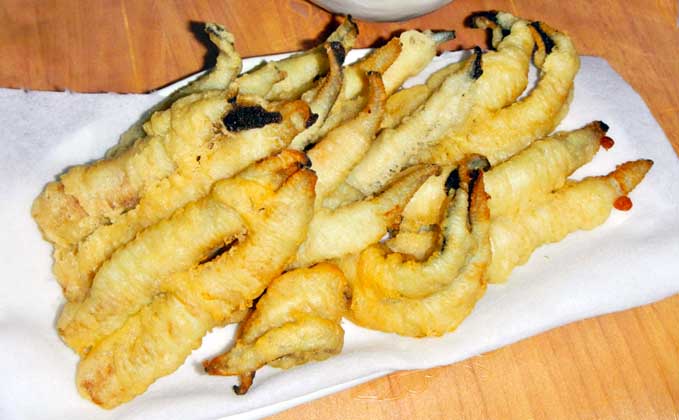【釣果レシピ】ダイナンギンポの天ぷら　見た目は悪いが食味は抜群