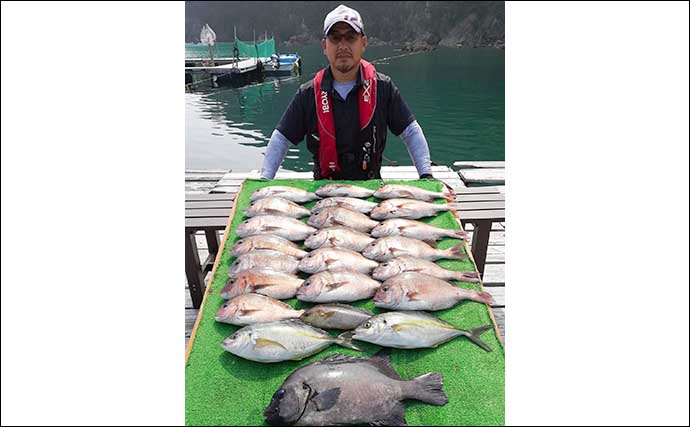 【福井・三重】海上釣り堀最新釣果　高級魚イシダイにシマアジ登場
