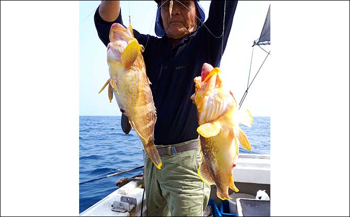 【福岡】沖のエサ釣り最新釣果　落とし込み＆泳がせ釣りで青物好調