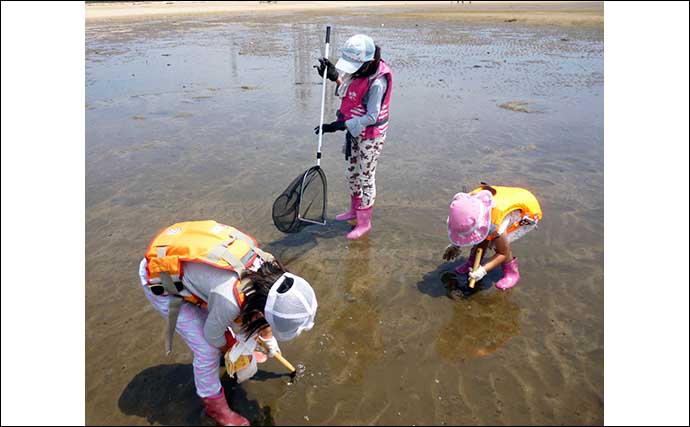 子供と一緒に「貝掘り」＆「潮だまり観察」を満喫　浜は生き物パラダイス